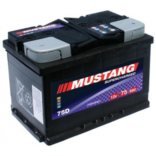 MUSTANG SCD 12V 75AH D+